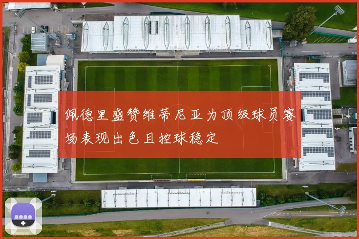 佩德里盛赞维蒂尼亚为顶级球员赛场表现出色且控球稳定