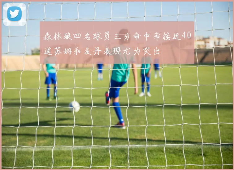 森林狼四名球员三分命中率接近40道苏姆和麦丹表现尤为突出
