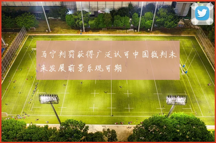 马宁判罚获得广泛认可中国裁判未来发展前景乐观可期