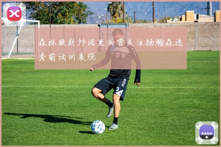 森林狼新帅诺里或曾关注杨瀚森选秀前试训表现